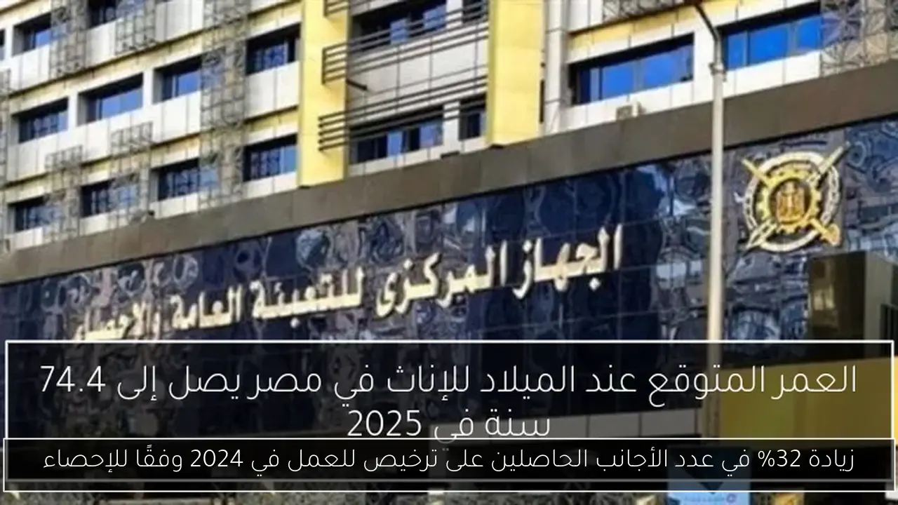 زيادة 32% في عدد الأجانب الحاصلين على ترخيص للعمل في 2024 وفقًا للإحصاء