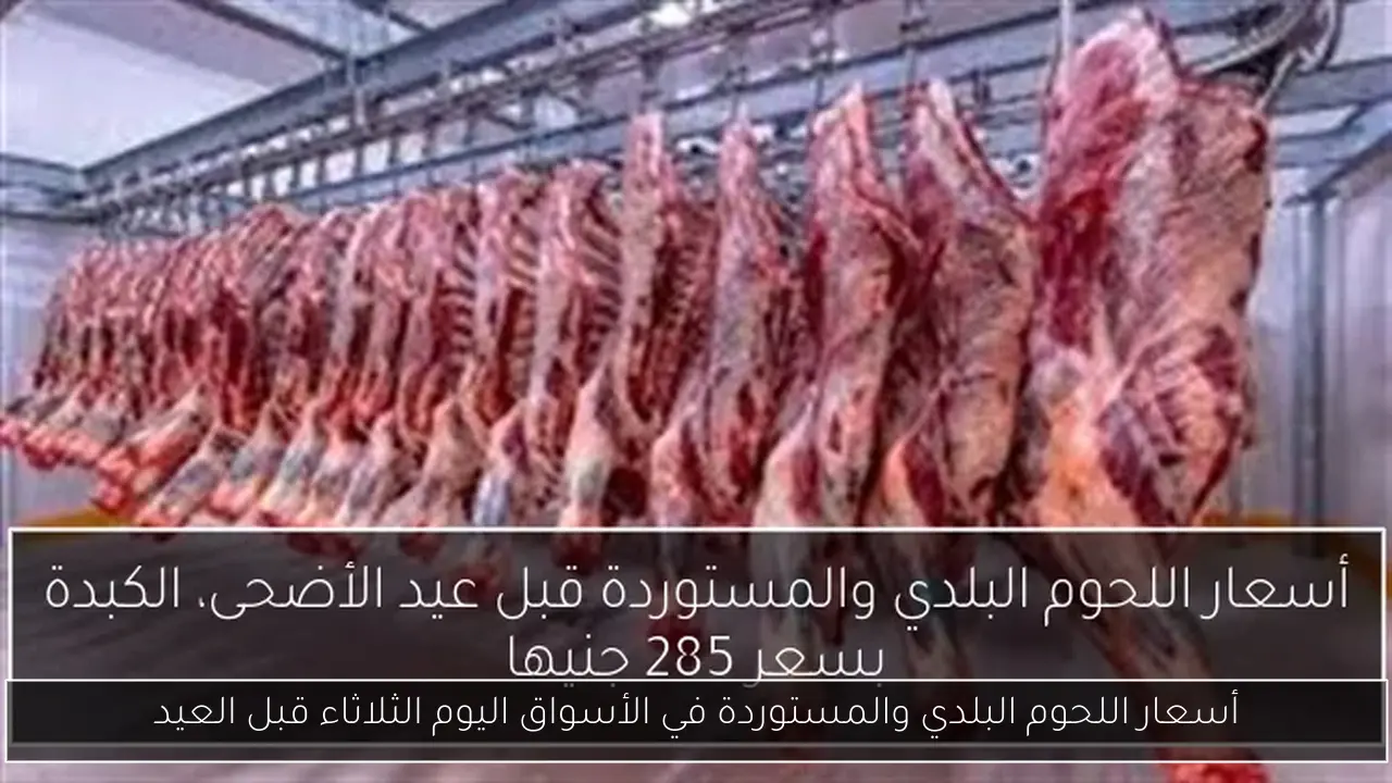 أسعار اللحوم البلدي والمستوردة في الأسواق اليوم الثلاثاء قبل العيد