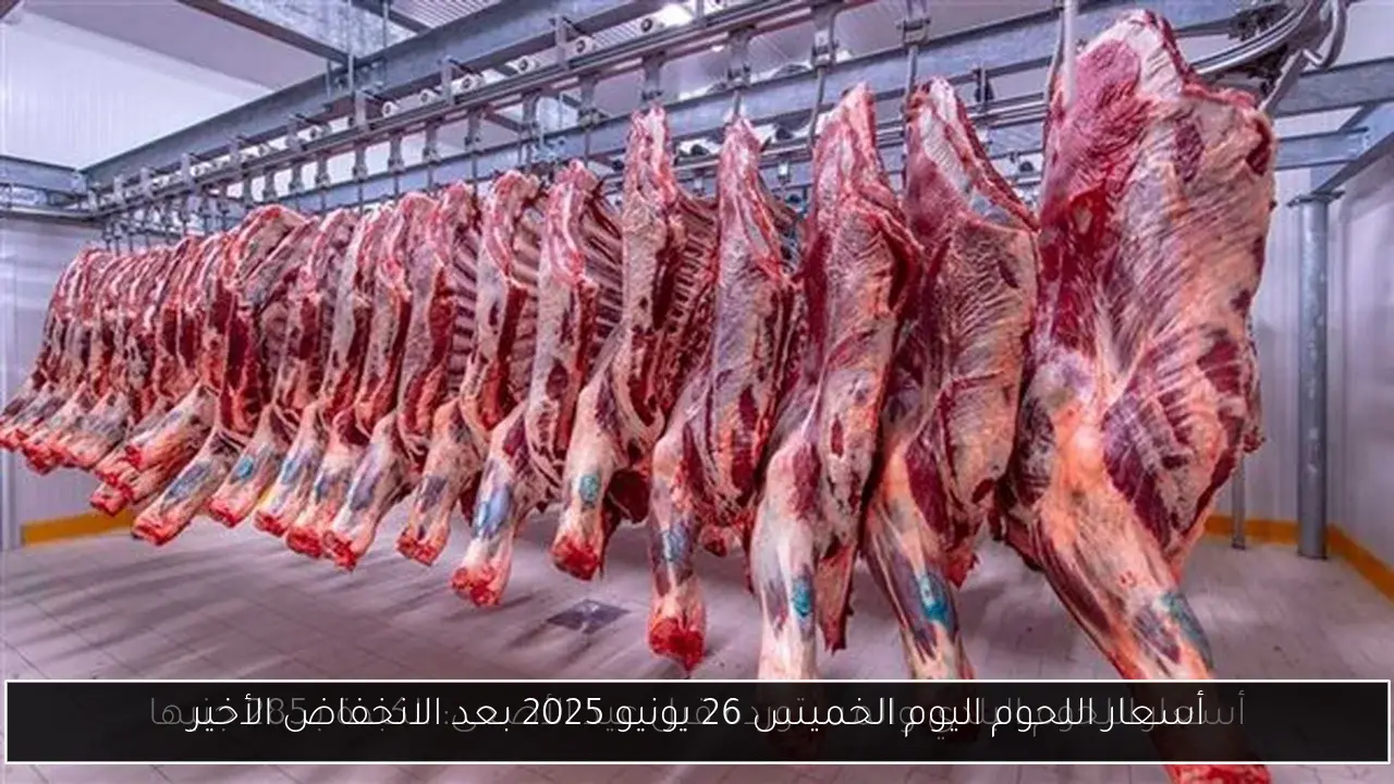 أسعار اللحوم اليوم الخميس 26 يونيو 2025 بعد الانخفاض الأخير