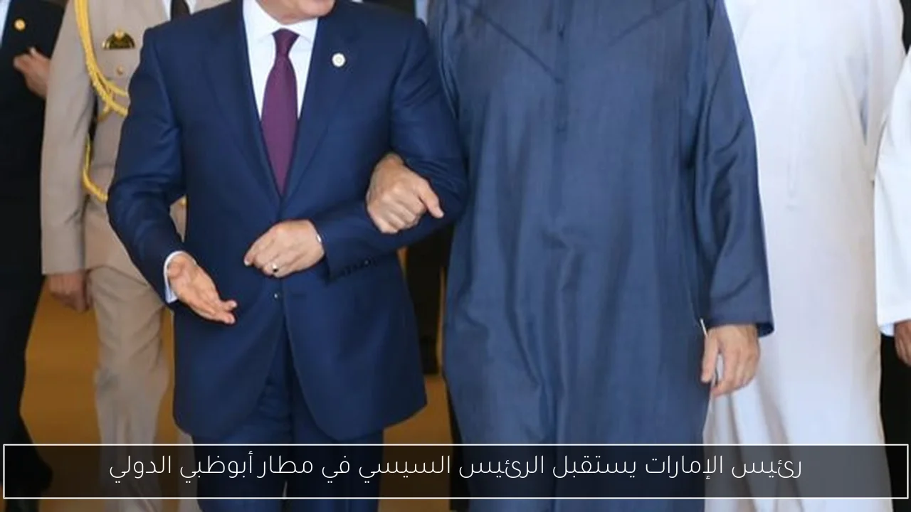 رئيس الإمارات يستقبل الرئيس السيسي في مطار أبوظبي الدولي