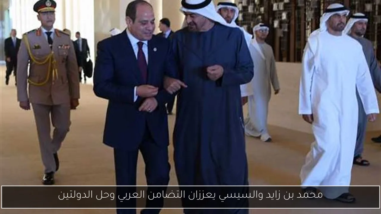 محمد بن زايد والسيسي يعززان التضامن العربي وحل الدولتين