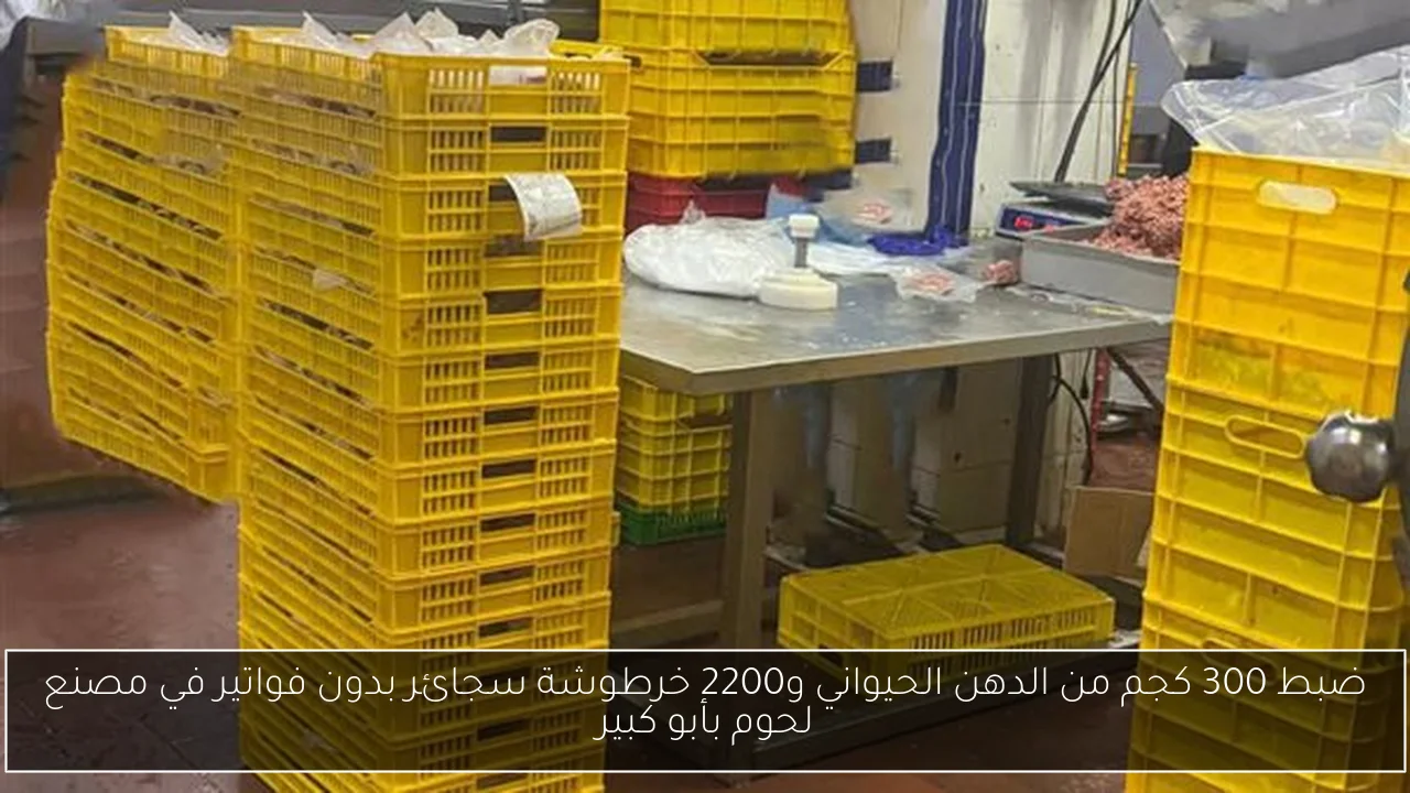 ضبط 300 كجم من الدهن الحيواني و2200 خرطوشة سجائر بدون فواتير في مصنع لحوم بأبو كبير