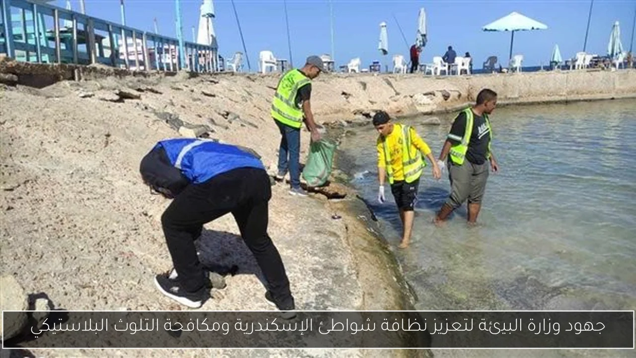 جهود وزارة البيئة لتعزيز نظافة شواطئ الإسكندرية ومكافحة التلوث البلاستيكي