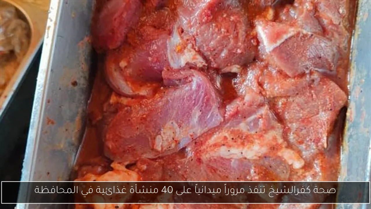 صحة كفرالشيخ تنفذ مروراً ميدانياً على 40 منشأة غذائية في المحافظة