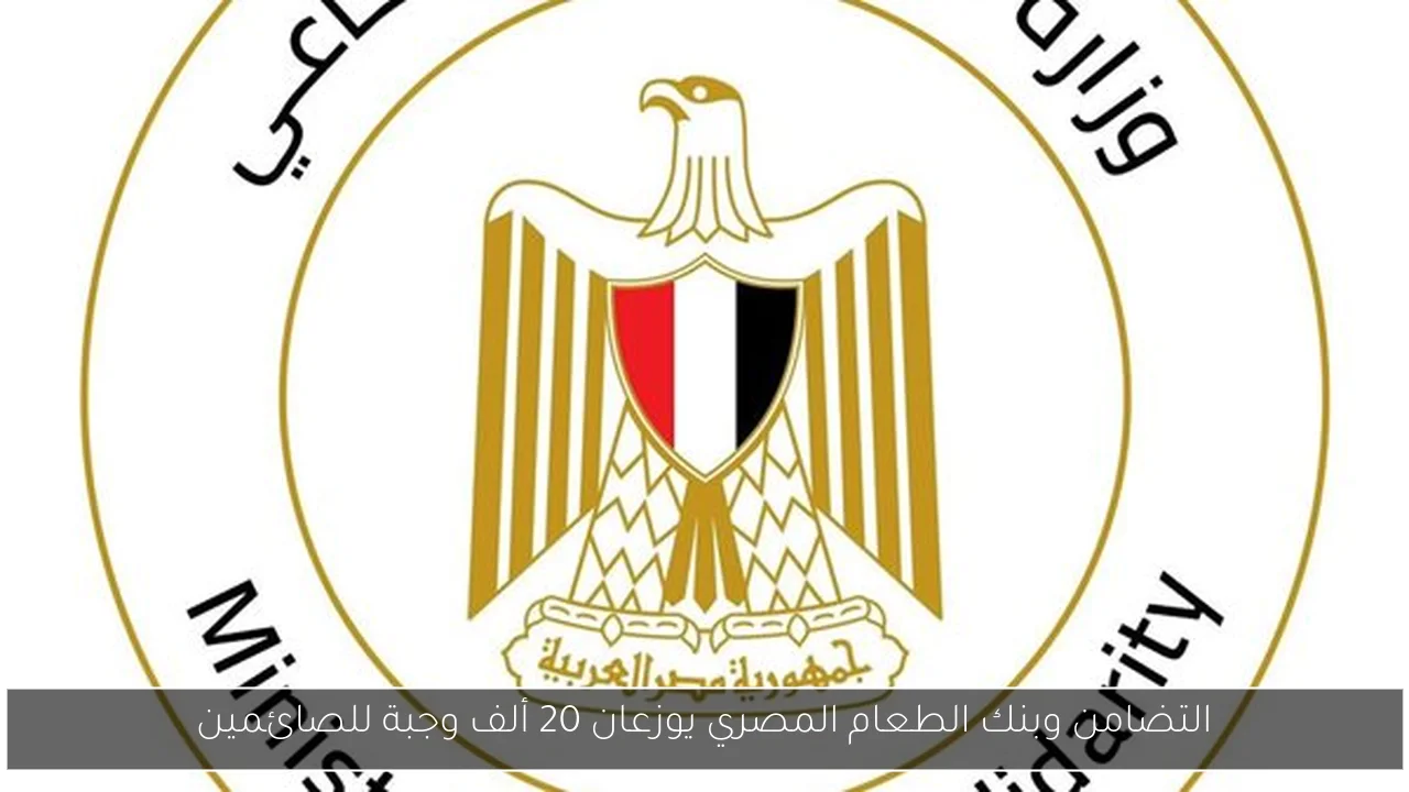 التضامن وبنك الطعام المصري يوزعان 20 ألف وجبة للصائمين