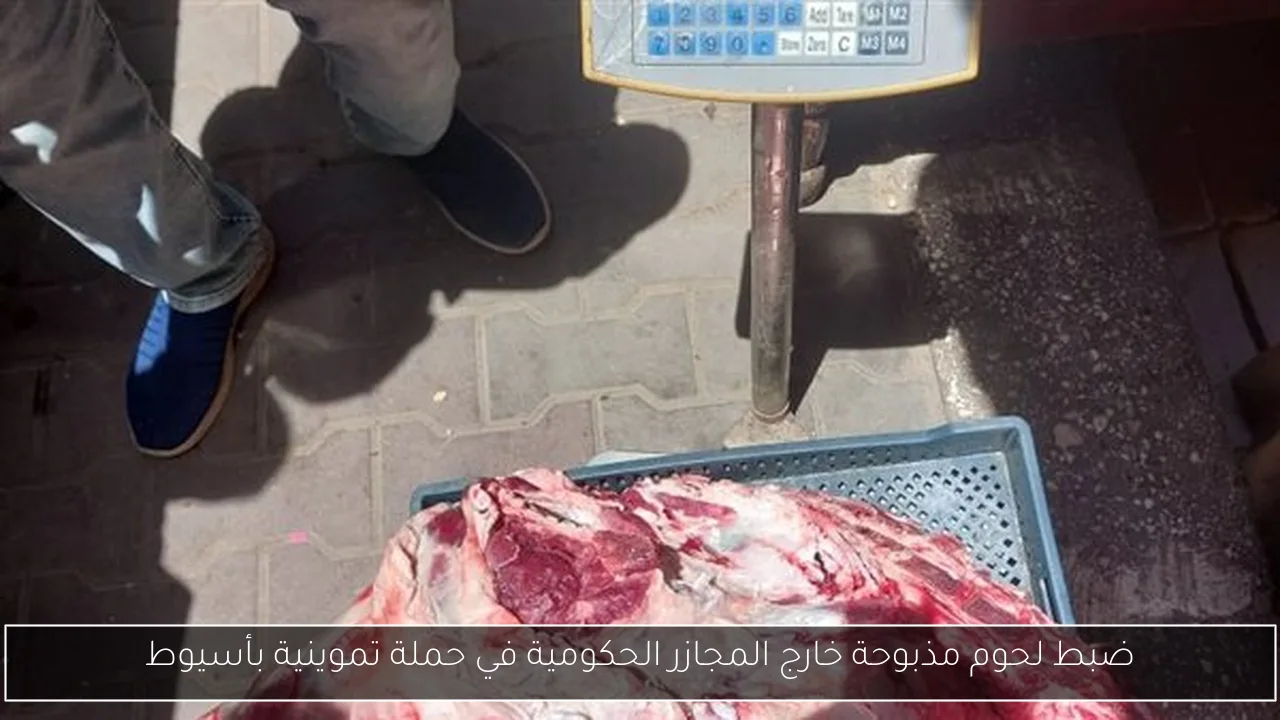 ضبط لحوم مذبوحة خارج المجازر الحكومية في حملة تموينية بأسيوط