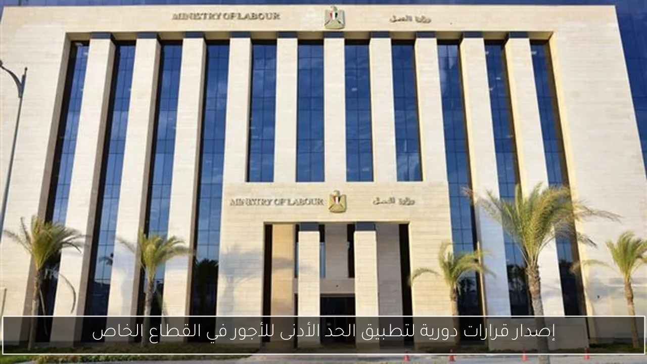 إصدار قرارات دورية لتطبيق الحد الأدنى للأجور في القطاع الخاص