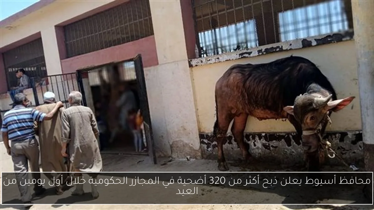 محافظ أسيوط يعلن ذبح أكثر من 320 أضحية في المجازر الحكومية خلال أول يومين من العيد