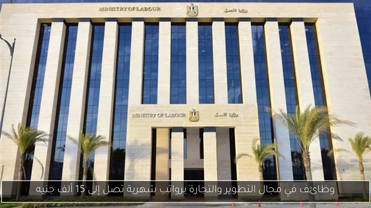 وظائف في مجال التطوير والتجارة برواتب شهرية تصل إلى 15 ألف جنيه