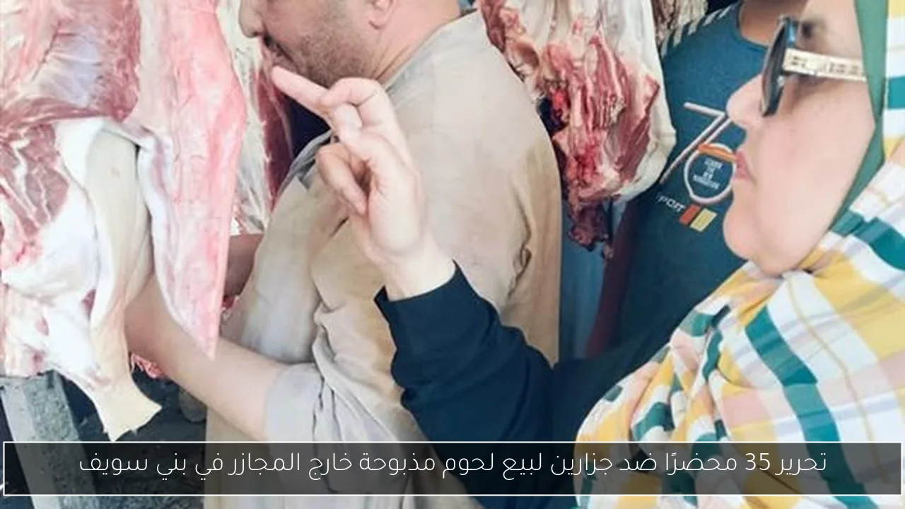 تحرير 35 محضرًا ضد جزارين لبيع لحوم مذبوحة خارج المجازر في بني سويف