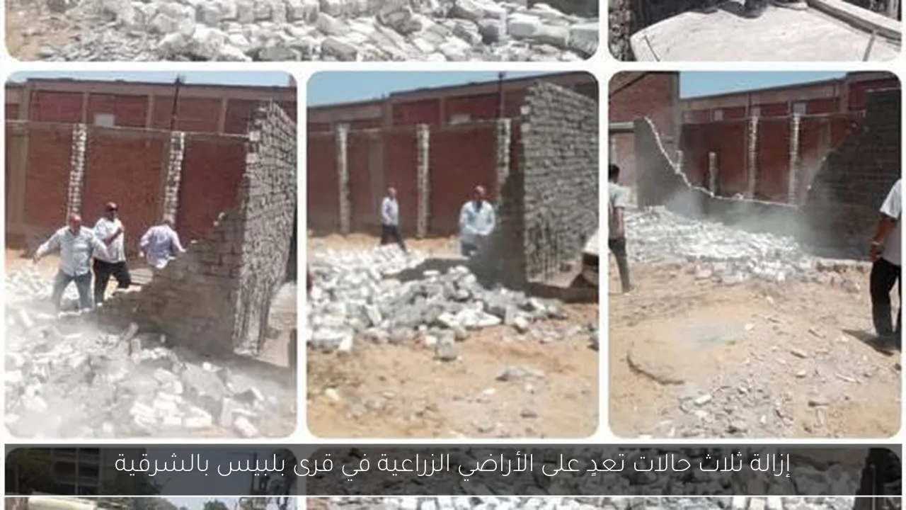 إزالة ثلاث حالات تعدٍ على الأراضي الزراعية في قرى بلبيس بالشرقية