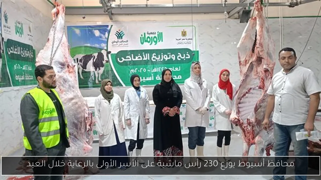 محافظ أسيوط يوزع 230 رأس ماشية على الأسر الأولى بالرعاية خلال العيد