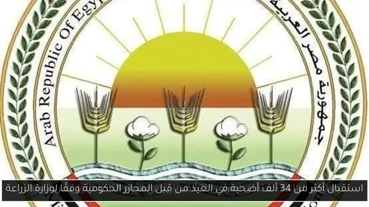 استقبال أكثر من 34 ألف أضحية في العيد من قبل المجازر الحكومية وفقًا لوزارة الزراعة