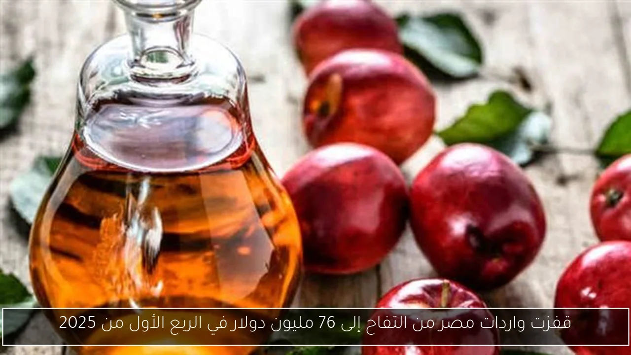 قفزت واردات مصر من التفاح إلى 76 مليون دولار في الربع الأول من 2025