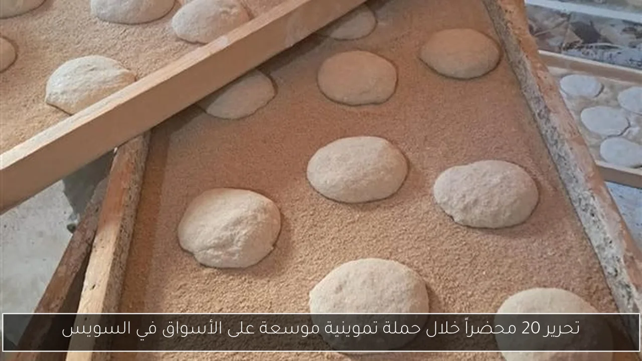 تحرير 20 محضراً خلال حملة تموينية موسعة على الأسواق في السويس