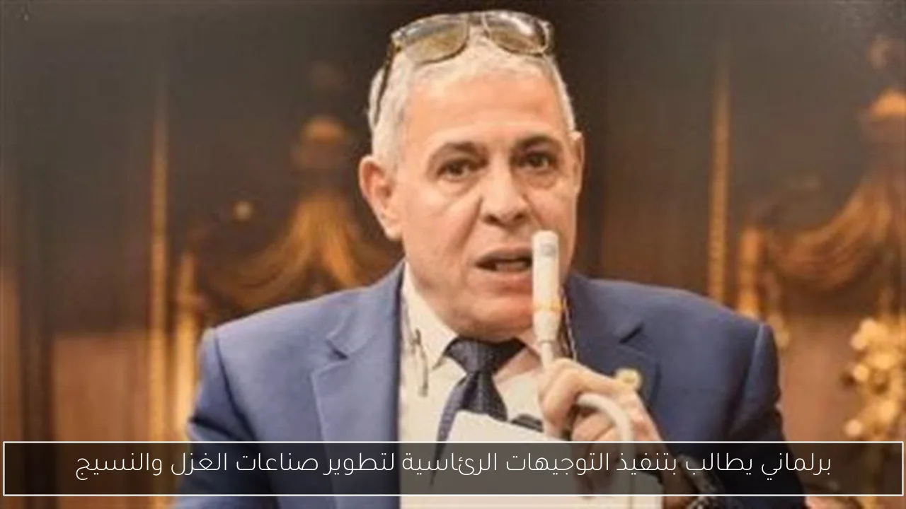 برلماني يطالب بتنفيذ التوجيهات الرئاسية لتطوير صناعات الغزل والنسيج