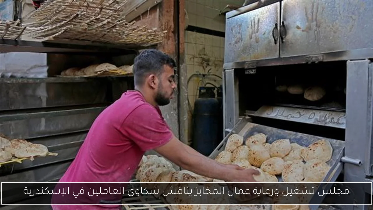 مجلس تشغيل ورعاية عمال المخابز يناقش شكاوى العاملين في الإسكندرية