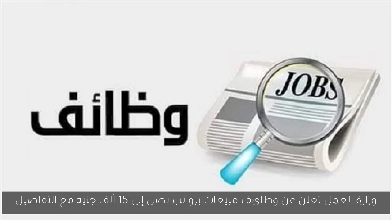 وزارة العمل تعلن عن وظائف مبيعات برواتب تصل إلى 15 ألف جنيه مع التفاصيل