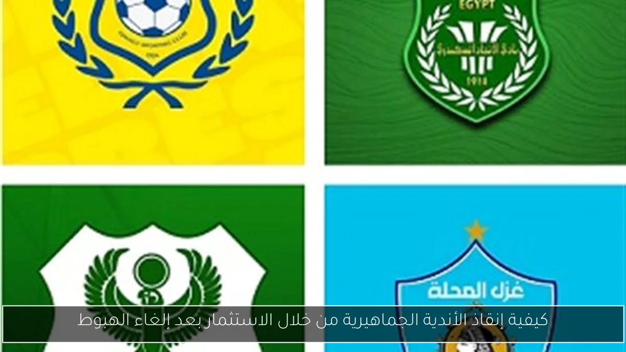 كيفية إنقاذ الأندية الجماهيرية من خلال الاستثمار بعد إلغاء الهبوط