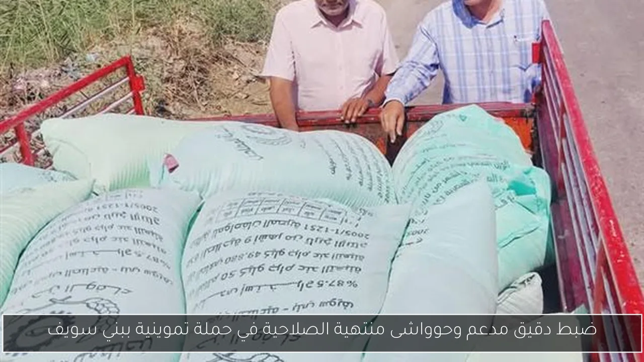 ضبط دقيق مدعم وحوواشى منتهية الصلاحية في حملة تموينية ببني سويف