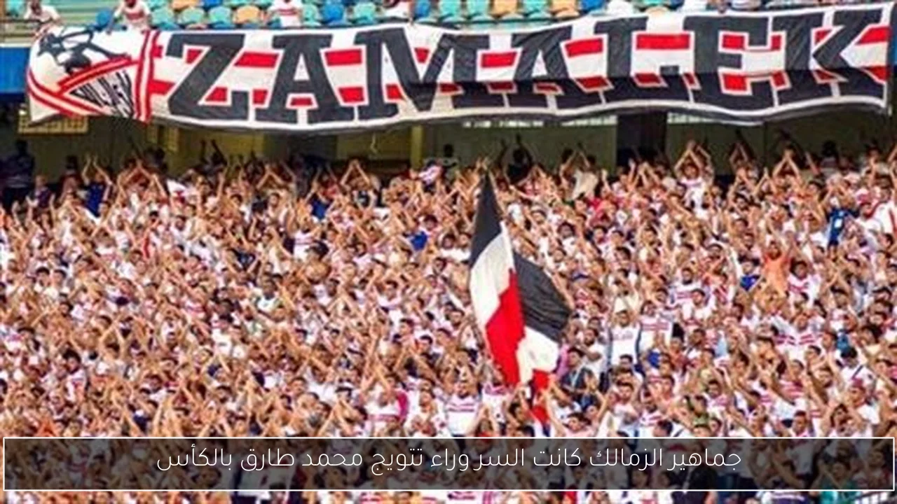 جماهير الزمالك كانت السر وراء تتويج محمد طارق بالكأس