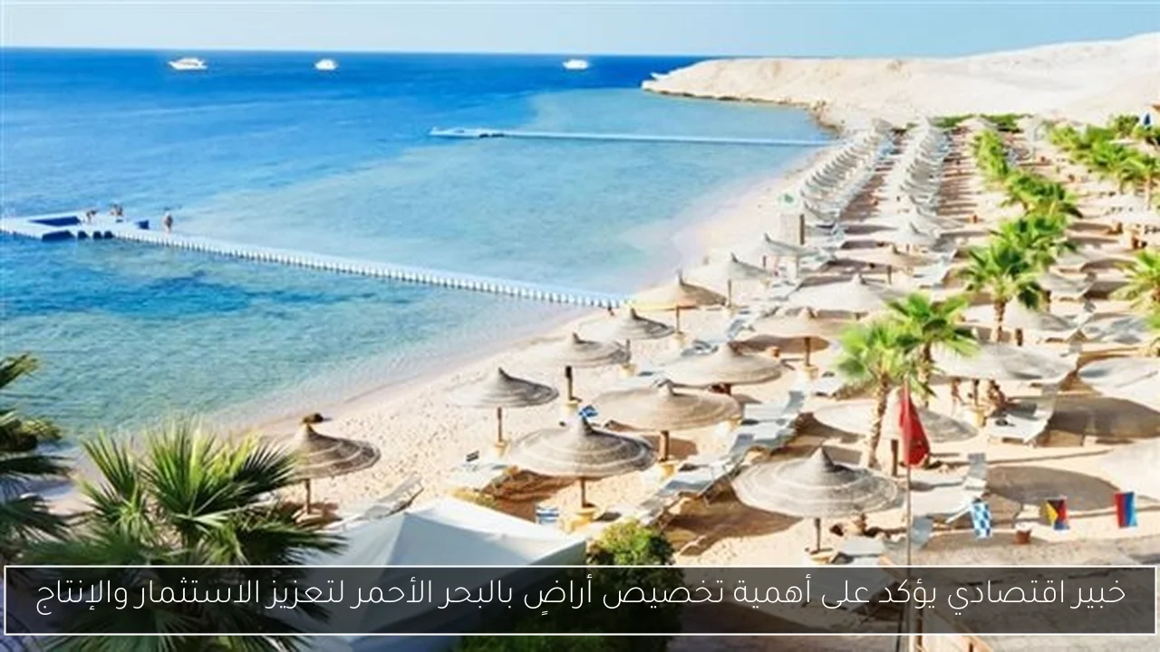 خبير اقتصادي يؤكد على أهمية تخصيص أراضٍ بالبحر الأحمر لتعزيز الاستثمار والإنتاج