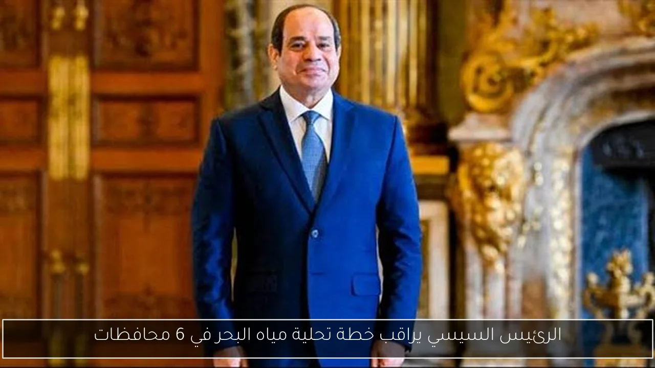 الرئيس السيسي يراقب خطة تحلية مياه البحر في 6 محافظات