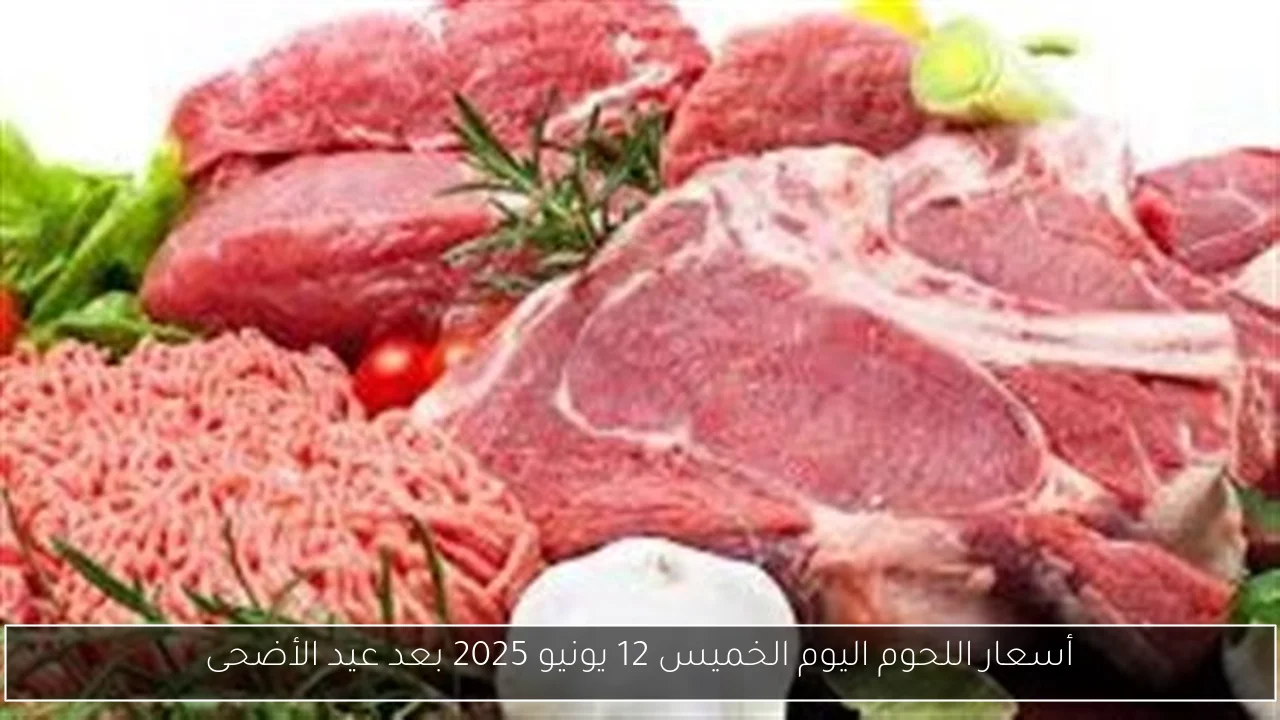 أسعار اللحوم اليوم الخميس 12 يونيو 2025 بعد عيد الأضحى