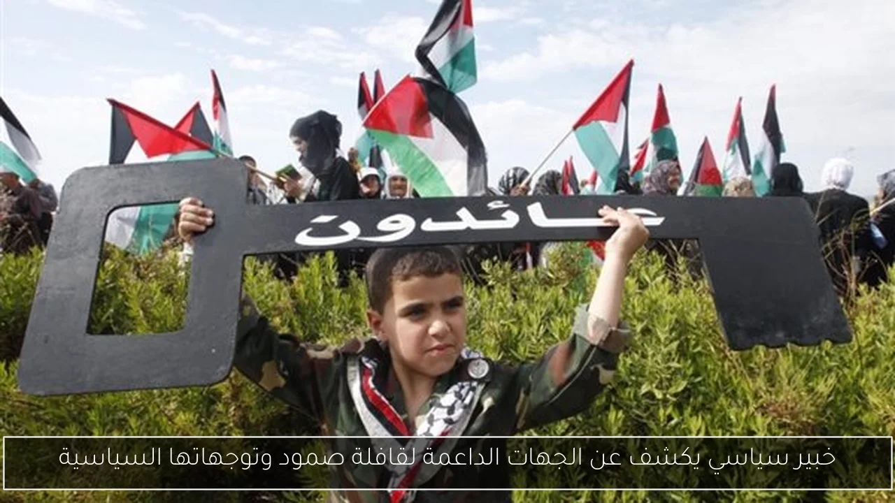 خبير سياسي يكشف عن الجهات الداعمة لقافلة صمود وتوجهاتها السياسية