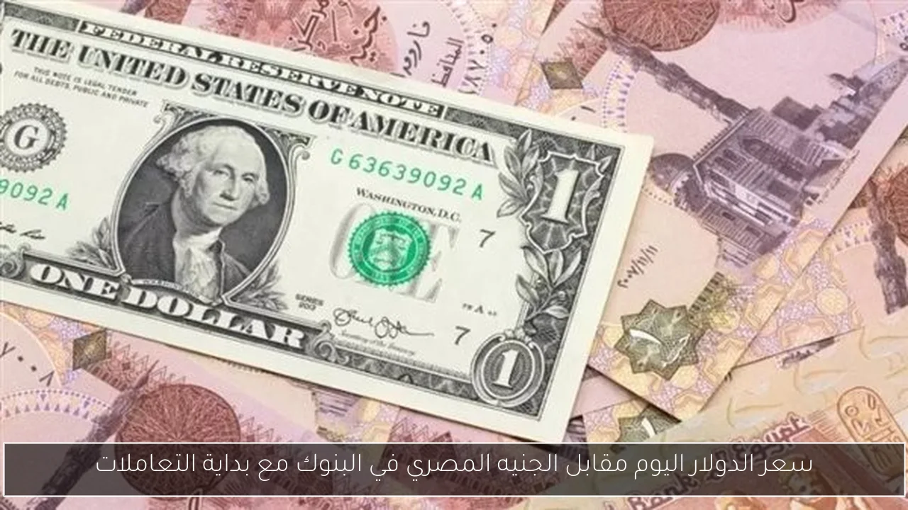 سعر الدولار اليوم مقابل الجنيه المصري في البنوك مع بداية التعاملات