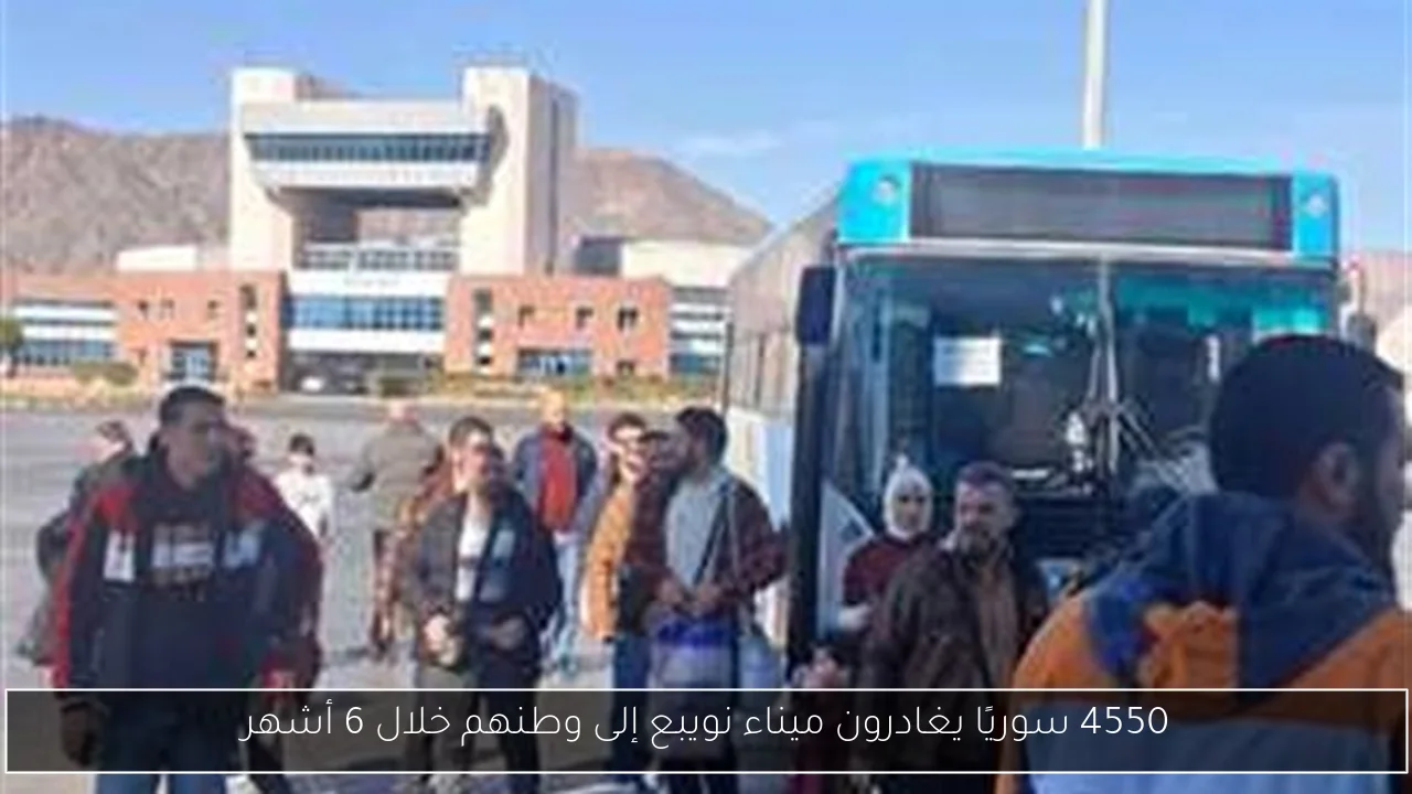 4550 سوريًا يغادرون ميناء نويبع إلى وطنهم خلال 6 أشهر
