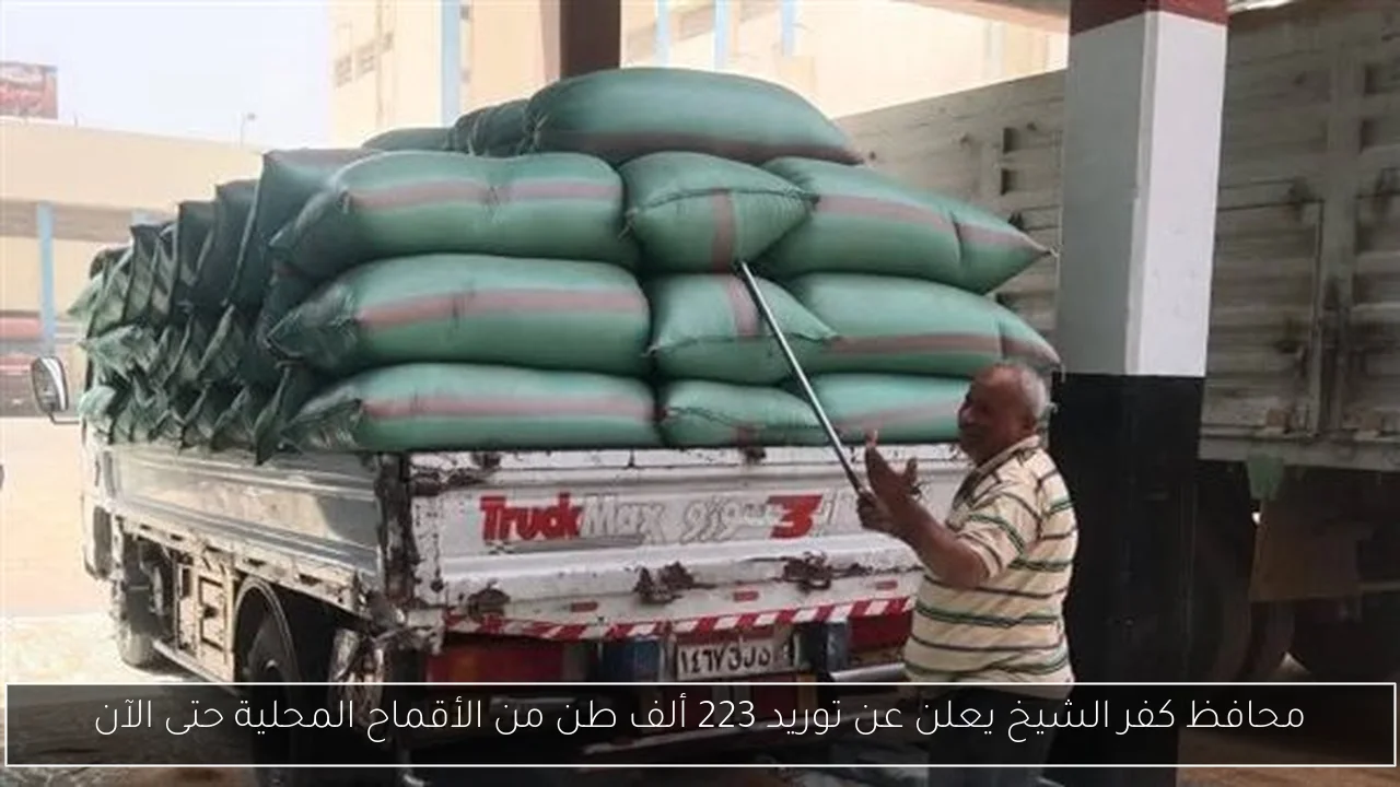 محافظ كفر الشيخ يعلن عن توريد 223 ألف طن من الأقماح المحلية حتى الآن