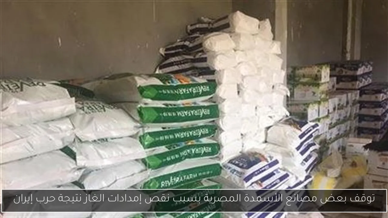 توقف بعض مصانع الأسمدة المصرية بسبب نقص إمدادات الغاز نتيجة حرب إيران