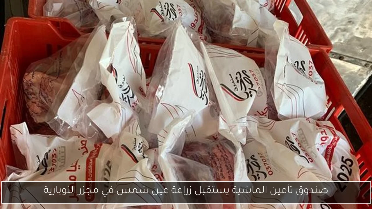 صندوق تأمين الماشية يستقبل زراعة عين شمس في مجزر النوبارية