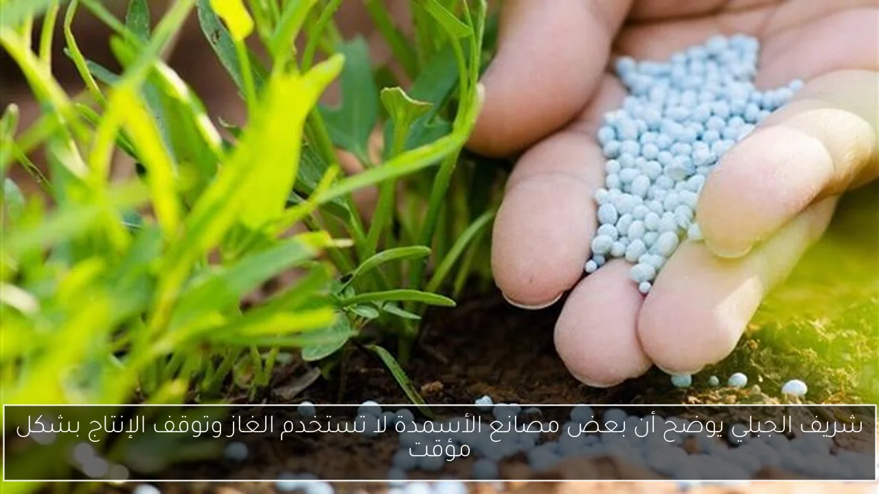 شريف الجبلي يوضح أن بعض مصانع الأسمدة لا تستخدم الغاز وتوقف الإنتاج بشكل مؤقت