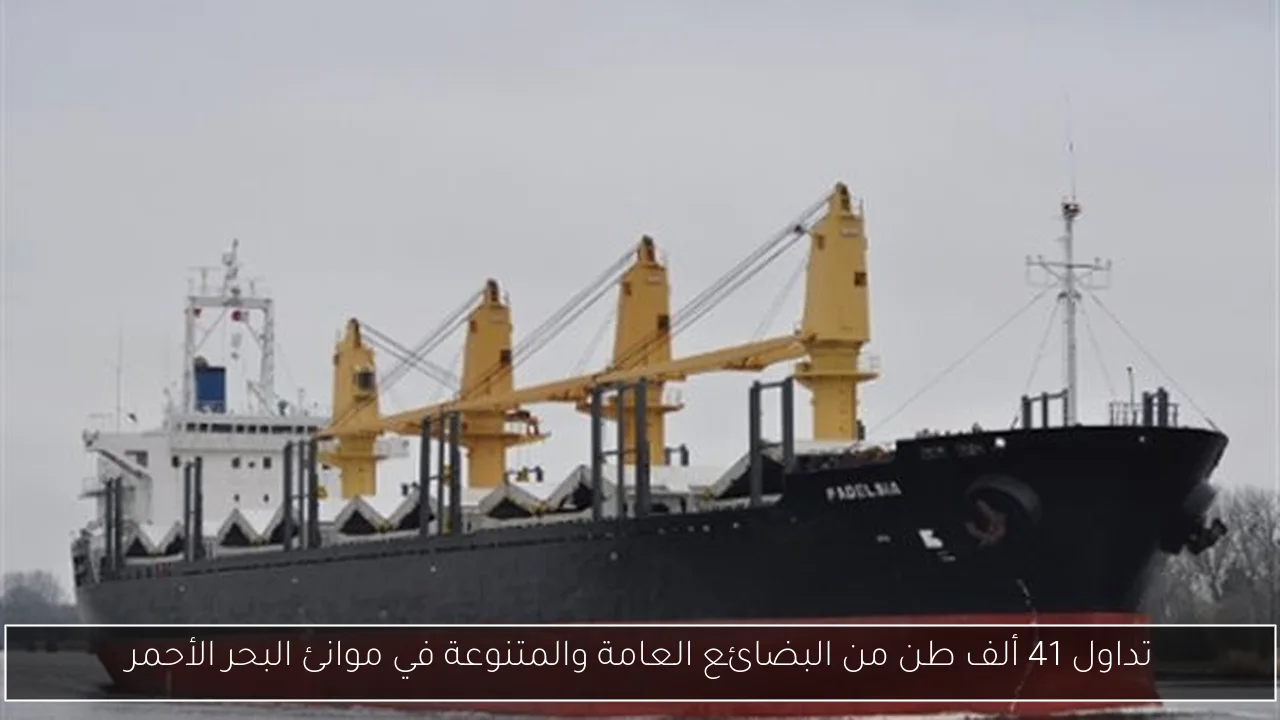 تداول 41 ألف طن من البضائع العامة والمتنوعة في موانئ البحر الأحمر