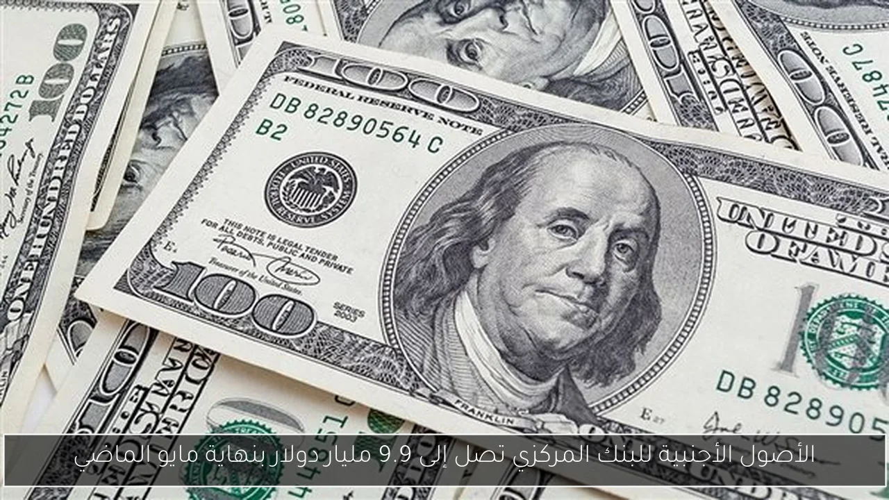 الأصول الأجنبية للبنك المركزي تصل إلى 9.9 مليار دولار بنهاية مايو الماضي