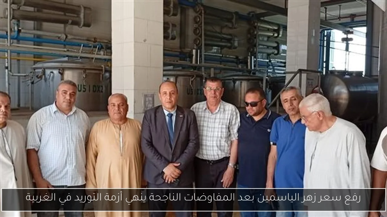 رفع سعر زهر الياسمين بعد المفاوضات الناجحة ينهي أزمة التوريد في الغربية