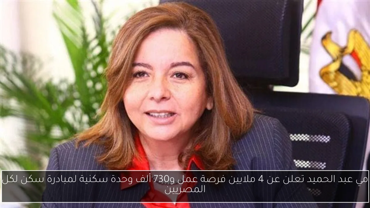 مي عبد الحميد تعلن عن 4 ملايين فرصة عمل و730 ألف وحدة سكنية لمبادرة سكن لكل المصريين