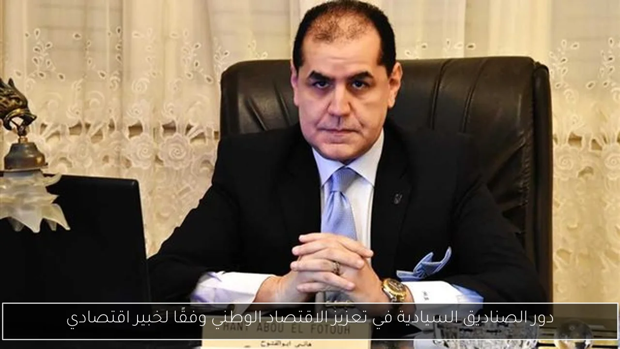 دور الصناديق السيادية في تعزيز الاقتصاد الوطني وفقًا لخبير اقتصادي