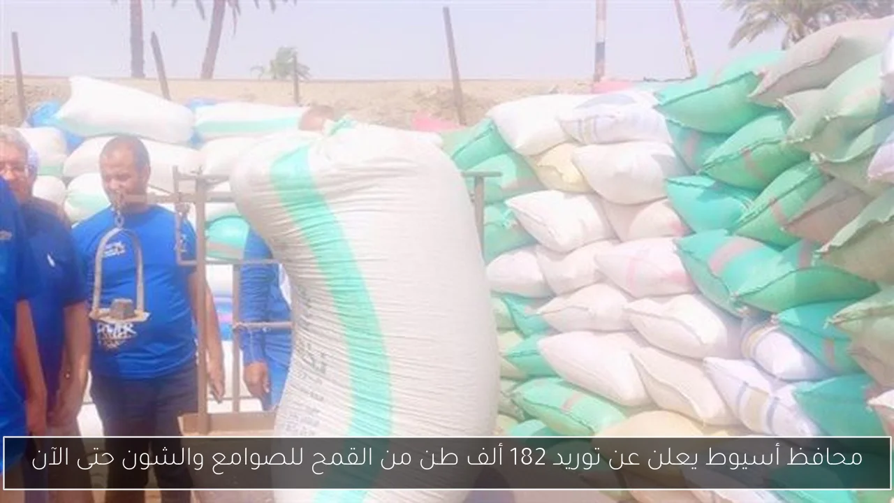 محافظ أسيوط يعلن عن توريد 182 ألف طن من القمح للصوامع والشون حتى الآن