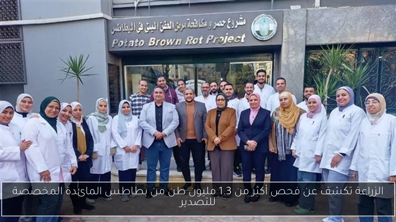 الزراعة تكشف عن فحص أكثر من 1.3 مليون طن من بطاطس المائدة المخصصة للتصدير