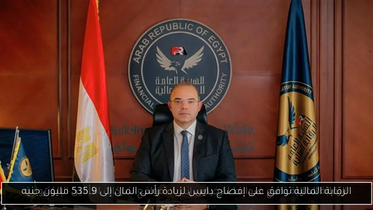 الرقابة المالية توافق على إفصاح دايس لزيادة رأس المال إلى 535.9 مليون جنيه