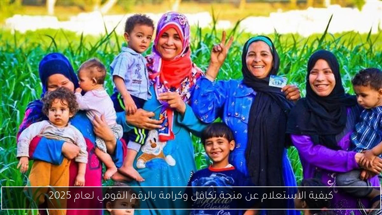 كيفية الاستعلام عن منحة تكافل وكرامة بالرقم القومي لعام 2025