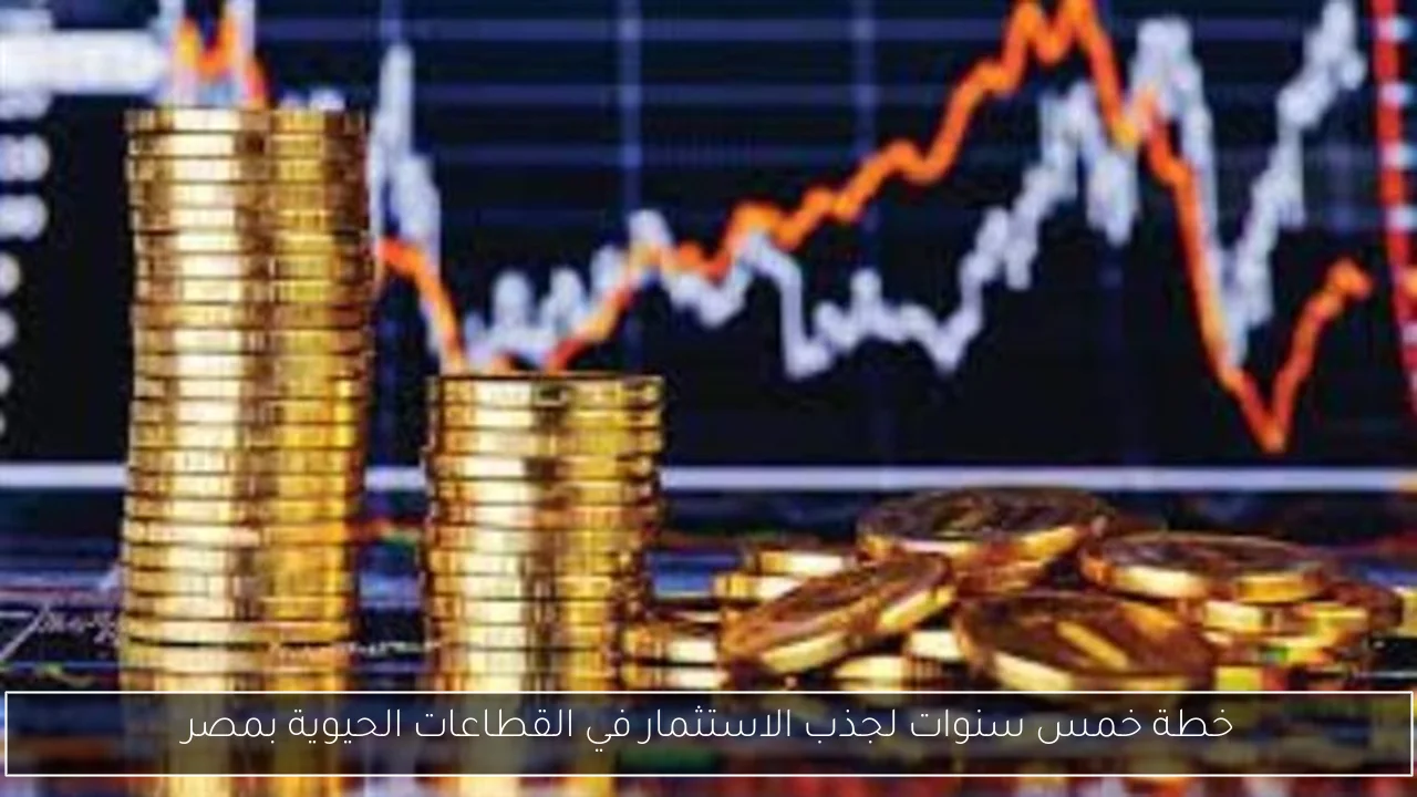 خطة خمس سنوات لجذب الاستثمار في القطاعات الحيوية بمصر