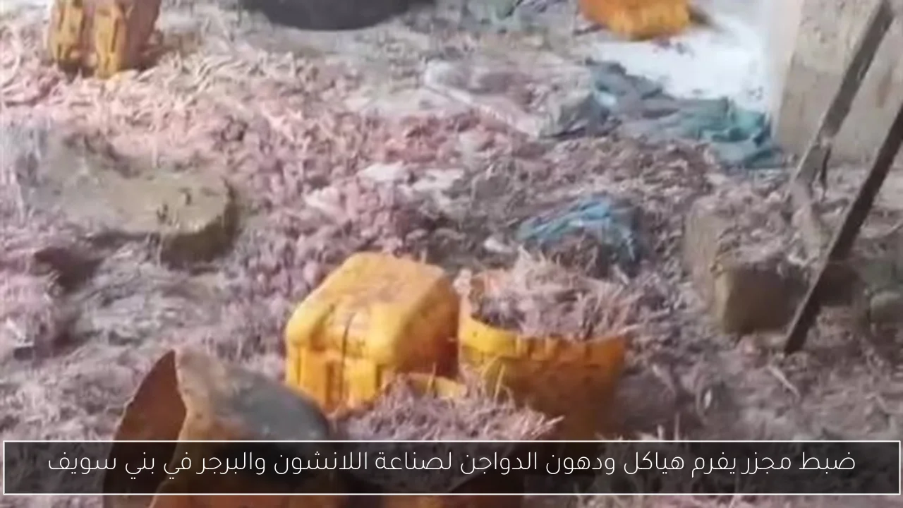 ضبط مجزر يفرم هياكل ودهون الدواجن لصناعة اللانشون والبرجر في بني سويف