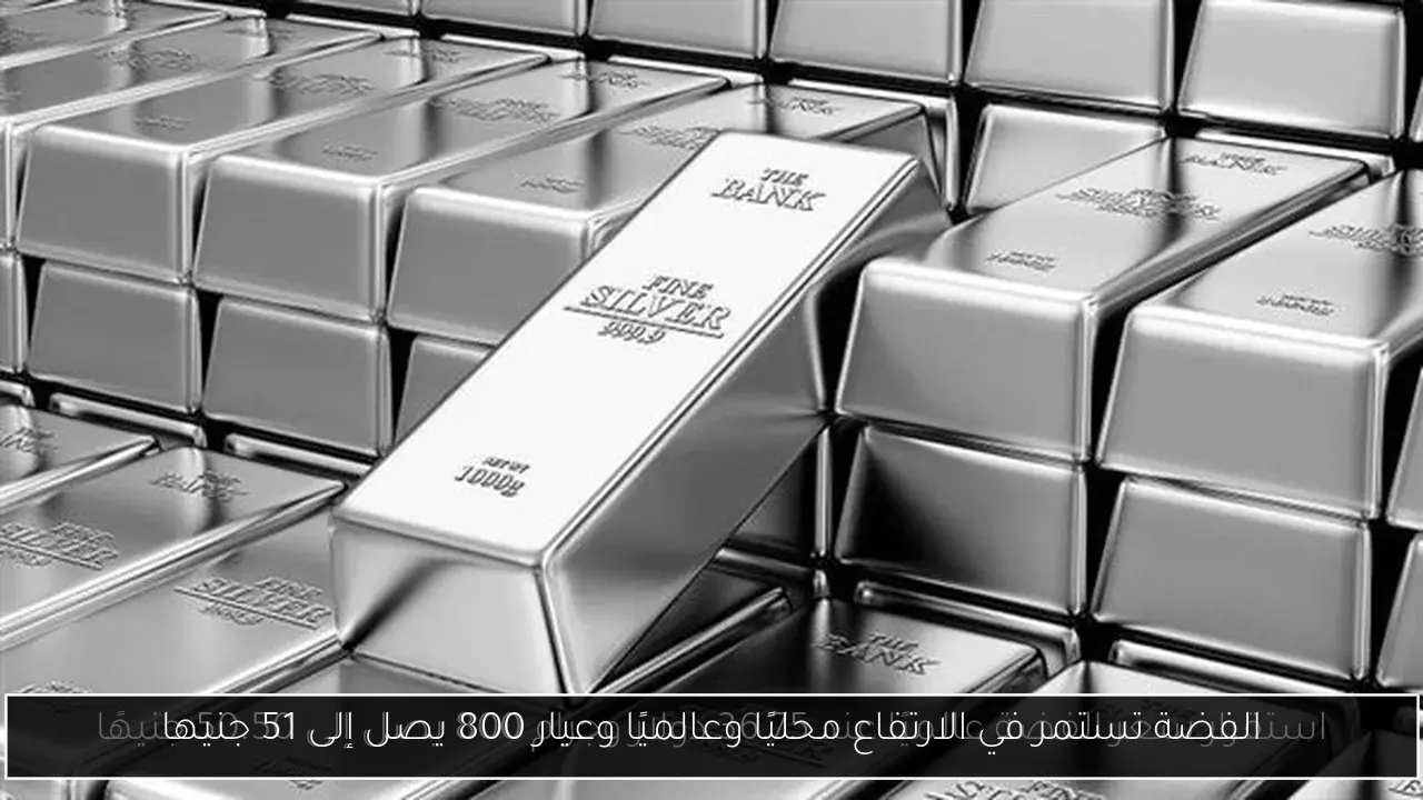 الفضة تستمر في الارتفاع محليًا وعالميًا وعيار 800 يصل إلى 51 جنيها
