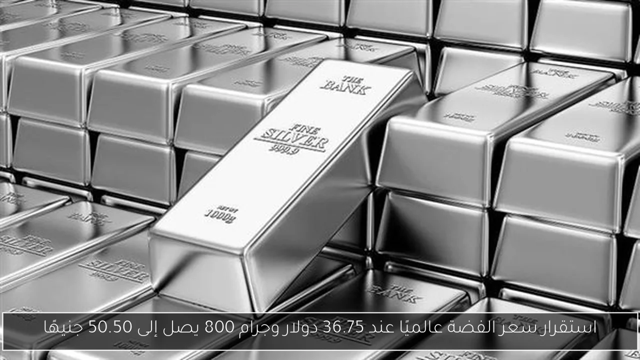 استقرار سعر الفضة عالميًا عند 36.75 دولار وجرام 800 يصل إلى 50.50 جنيهًا