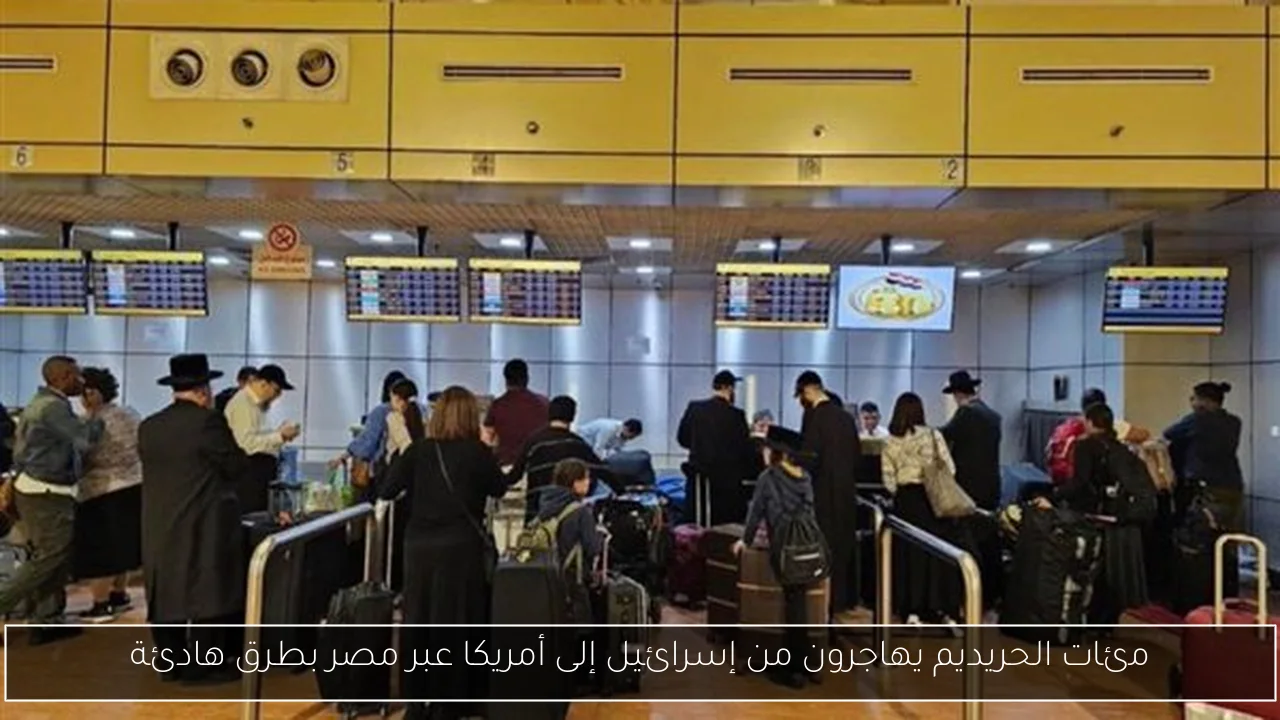 مئات الحريديم يهاجرون من إسرائيل إلى أمريكا عبر مصر بطرق هادئة