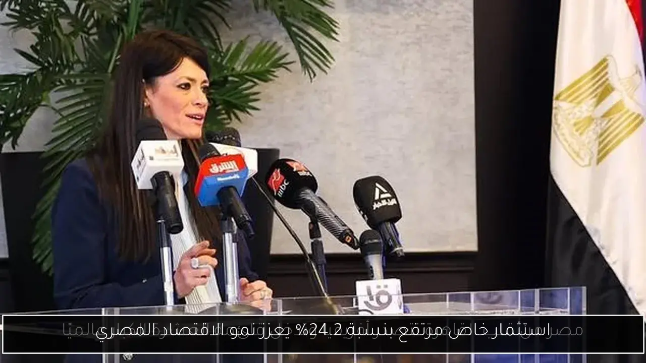 استثمار خاص مرتفع بنسبة 24.2% يعزز نمو الاقتصاد المصري